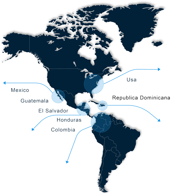 mapa-zehirut-global