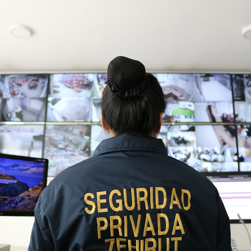 vigilancia zehirut pantallas