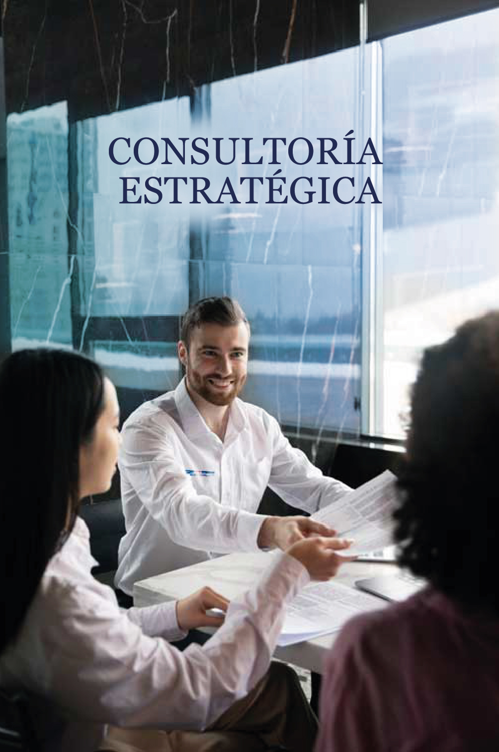 servicios CONSULTORIA zehirut pagina web-01-01