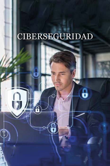 servicios-ciberseguridad-zehirut