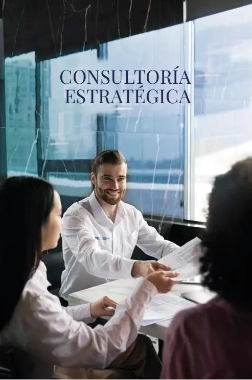 servicios-CONSULTORIA-zehirut-pagina-web-2026-01